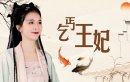 乞丐王妃剧情介绍第1-11集