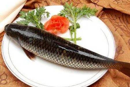 好吃不腻的草鱼应该怎么做   草鱼的三种家常做法超下饭