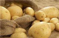 土豆怎么做好吃又简单 最简单的家常炒土豆丝做