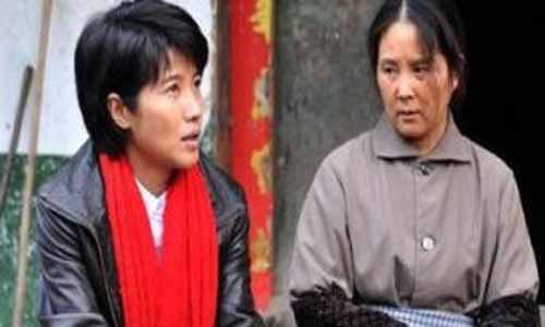 《远山的红叶/王瑛》