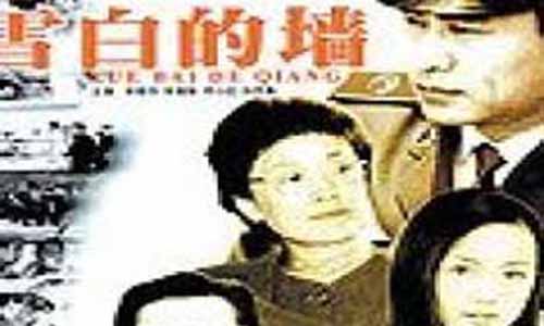 电视剧《雪白的墙》剧情简介