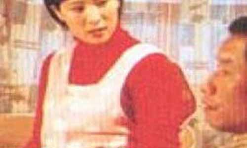 电视剧《政府官员》