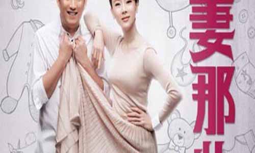 电视剧《夫妻那点事/夫妻那些事》全集剧情介绍：