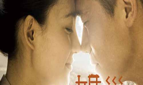 电视剧《婚巢》