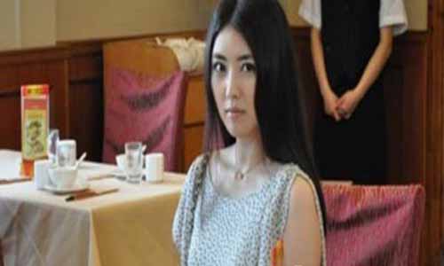 儿女情更长剧情介绍,儿女情更长大结局,儿女情更长