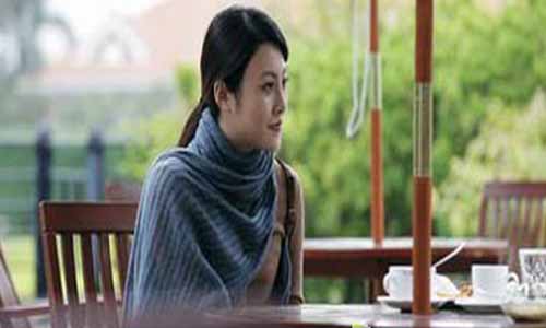 税案风云电视剧,税案风云剧情介绍,税案风云