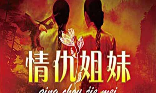 情仇姐妹电视剧,情仇姐妹剧情介绍,情仇姐妹