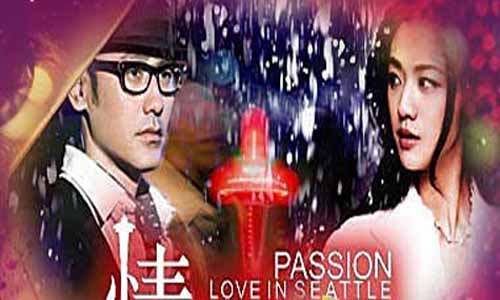 情浓西雅图电视剧 情浓西雅图大结局 情浓西雅图剧情介绍