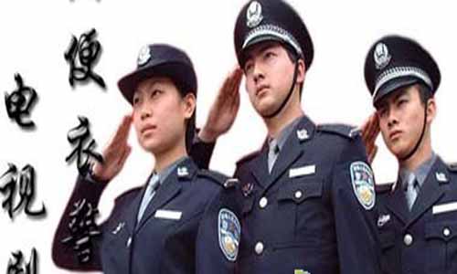 便衣支队电视剧,便衣支队全集,便衣支队剧情介绍,便衣支队