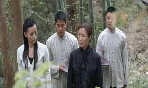 一江岛之战电视剧,一江岛之战剧情介绍,一江岛之战全集