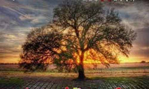 战地青春之歌电视剧全集,战地青春之歌剧情介绍,战地青春之歌分集介绍,战地青春之歌