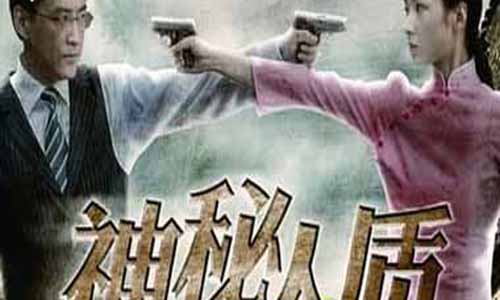 《神秘人质》分集剧情简介第1-20全集