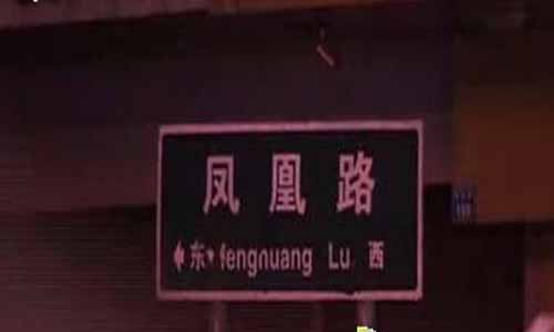 凤凰路分集介绍,凤凰路全集大结局,凤凰路剧情介绍,凤凰路