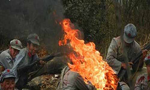 雳剑电视剧,雪豹雳剑分集介绍,雳剑剧情介绍,雪豹雳剑