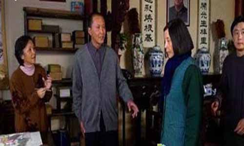 全家福分集介绍,2013版全家福,全家福