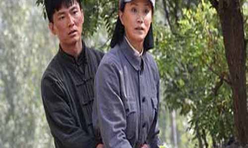 大地情深大结局,大地情深电视剧大结局,大地情深分集介绍,大地情深