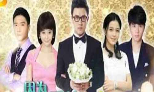 《因为爱情有多美》分集剧情简介第1-20全集