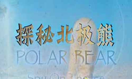 《探秘北极熊》分集剧情简介第1-2全集大结局