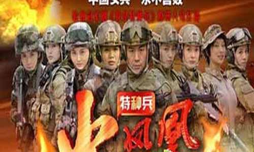 我是特种兵3之火凤凰大结局,我是特种兵之火凤凰