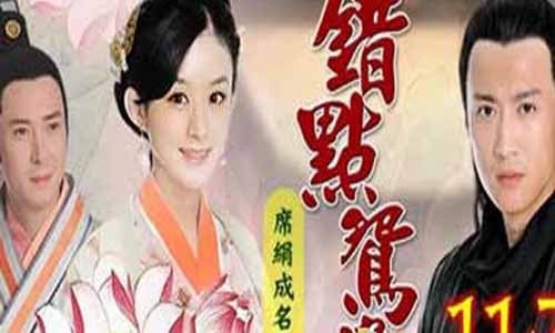 《错点鸳鸯戏点鸳鸯/戏点鸳鸯》分集剧情介绍第