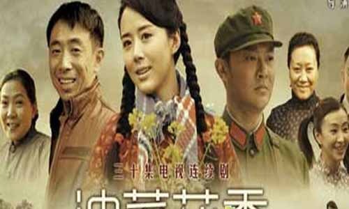 《油菜花香/我们家的绣花姐》剧情介绍第1-20全集