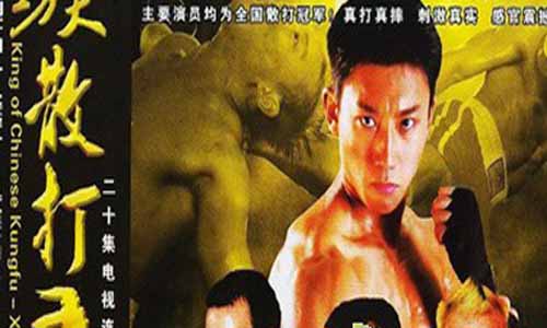 工 夫散打王全集剧情,散打王电视剧演员,工 夫散打王剧情介绍,散打王