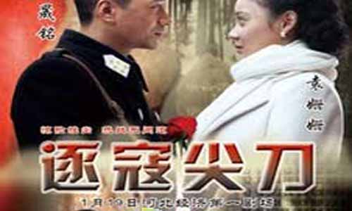 《逐寇尖刀》分集剧情简介第1-36全集大结局
