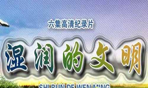 湿润的文明记 载片,湿润的文明剧情介绍,湿润的文明大结局,湿润的文明