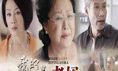 老妈的爱情剧情介绍,老妈的爱情分集介绍,老妈的爱情大结局,我的极品老妈,老妈的爱情