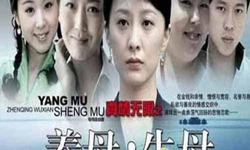 亲妈养母剧情介绍,亲妈养母分集介绍,亲妈养母大结局,真情无 穷之养母生母,亲妈养母