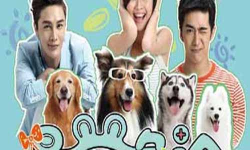 最萌急诊分集介绍,最萌急诊剧情介绍