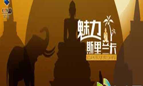 《魅力马尔代夫》分集剧情简介第1-3全集大结局