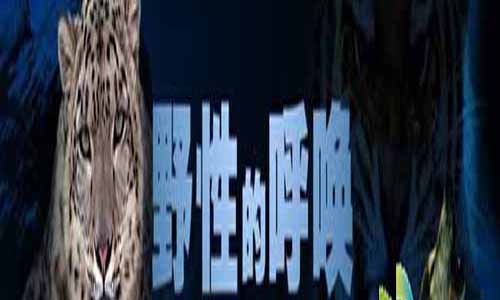 野性的召 唤故事介绍,野性的召 唤分集介绍