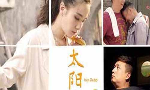 太阳花大结局,太阳花分集介绍,太阳花全集大结局