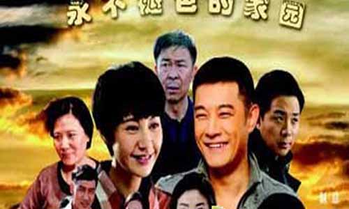 《永不褪色的家园》分集剧情简介第1-30全集大结