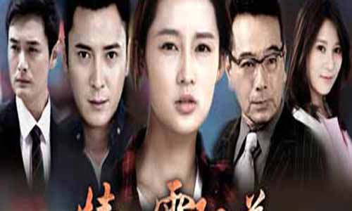 《情满雪阳花/盛开在冬季的太阳花》分集介绍第