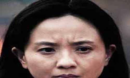 关月霜演员：陶慧敏