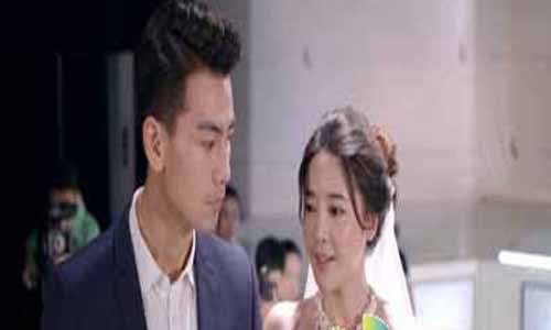 闪亮茗天大结局,爱情来找茶全集剧情,像星星一样爱你,闪亮茗天电视剧大结局,爱情来找茶