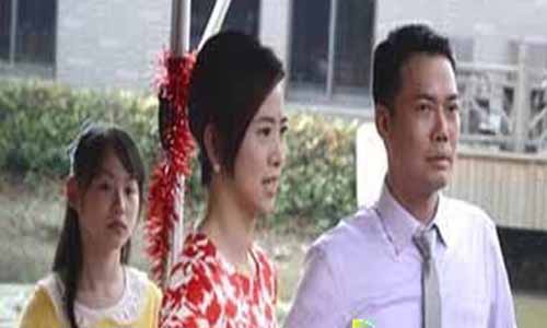 《爸爸是条龙》分集剧情介绍第1-40全集大结局