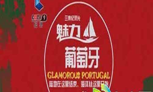 电视剧魅力葡萄牙分集介绍第1-3全集大结局