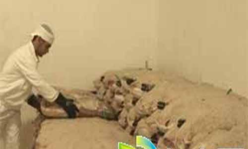 魅力葡萄牙分集介绍：第三集 舌尖的旅行