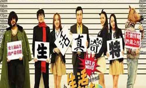 《生活真奇特》分集剧情介绍第1-10全集大结局