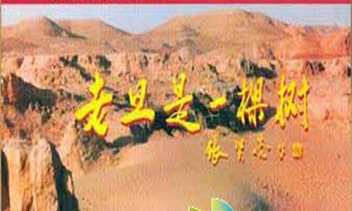 电视剧老旦是一棵树/关中风云分集介绍第1-26全集大结局