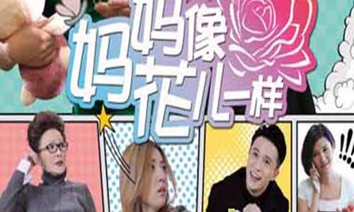 妈妈像花儿一样/幸福的机 密/你不知道的事分集简介第1-全集大结局