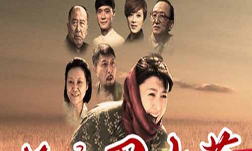 电视剧俺娘田小草大结局,我的母亲全集剧情,小草,俺娘田小草分集介绍,我的母亲