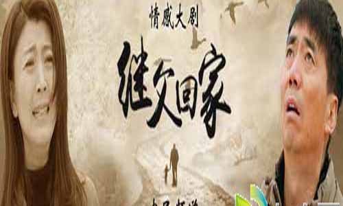 电视剧继父回家大结局,以继父的名义回家分集介绍,继父回家剧情,以继父的名义回家