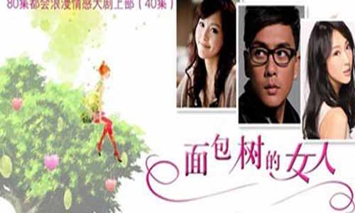 面包树的女人电视剧 面包树的女人分集介绍 面包树的女人大结局 面包树的女人