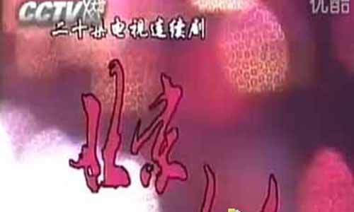 电视剧北京女人剧情介绍第1-20全集大结局