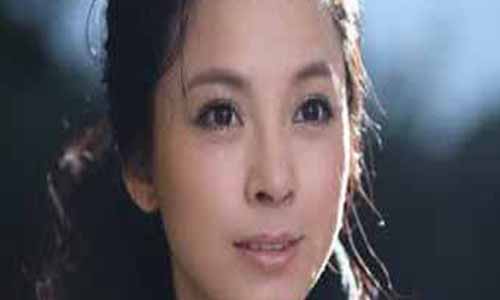 倪总监演员 刘家瑜 