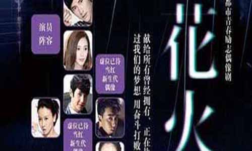 电视剧《花火》剧情介绍第1-30全集大结局花火全集剧情